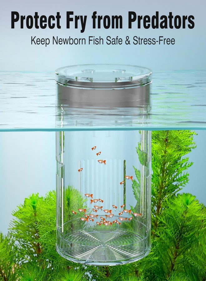 FKSC Floating Acrylic Breeder Box for Fish Tank - Aquarium Isolation Separator Hatchery Incubator for Guppy, Betta, Clownfish, Coral, Baby & Injured Fish - Image 3
